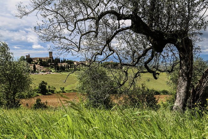 Chianti Wineries Tour with Tuscan Lunch and San Gimignano - Lunch, the second winery, and a different style