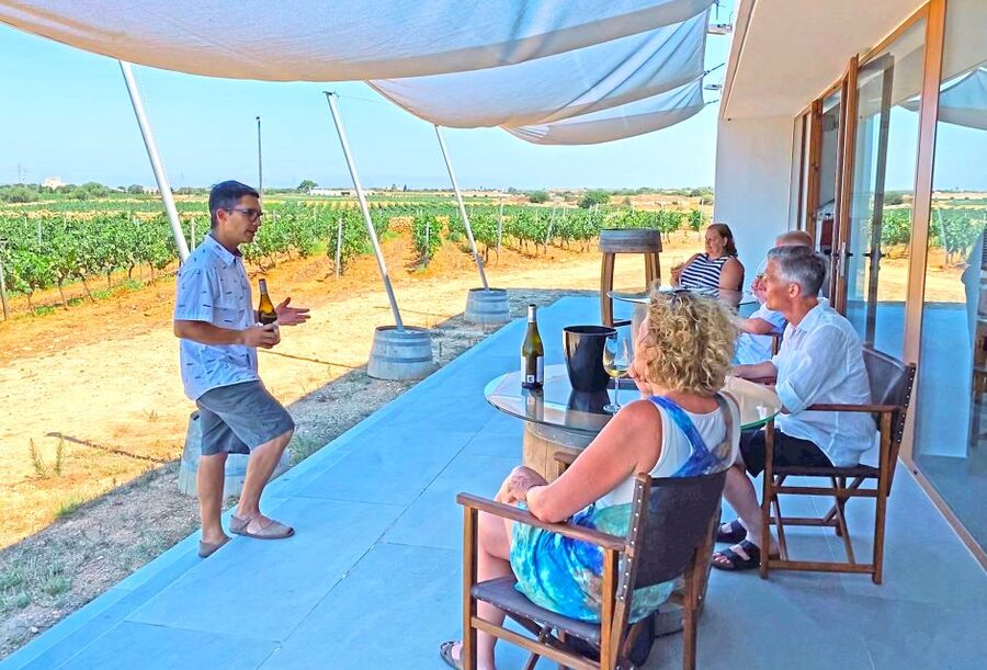 Ciutadella de Menorca: Family Winery Tour with Wine Tasting - Key points at a glance