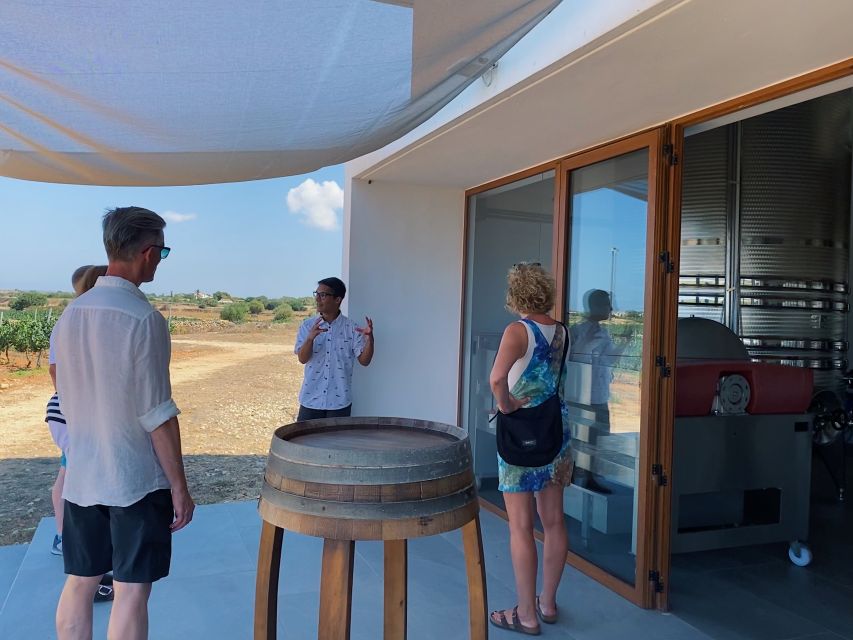 Ciutadella de Menorca: Family Winery Tour with Wine Tasting - Verjus, an unusual extra taste