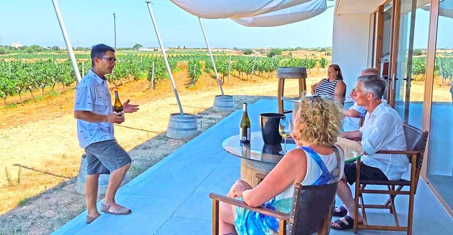 Ciutadella de Menorca: Family Winery Tour with Wine Tasting - Walking among the vines