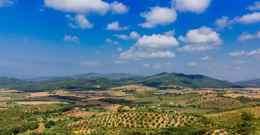 Civitavecchia: Tuscany Full-Day Guided Trip w/Wine Tasting - Key points at a glance