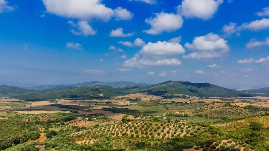 Civitavecchia: Tuscany Full-Day Guided Trip w/Wine Tasting - Montemerano, a small town with a slower clock