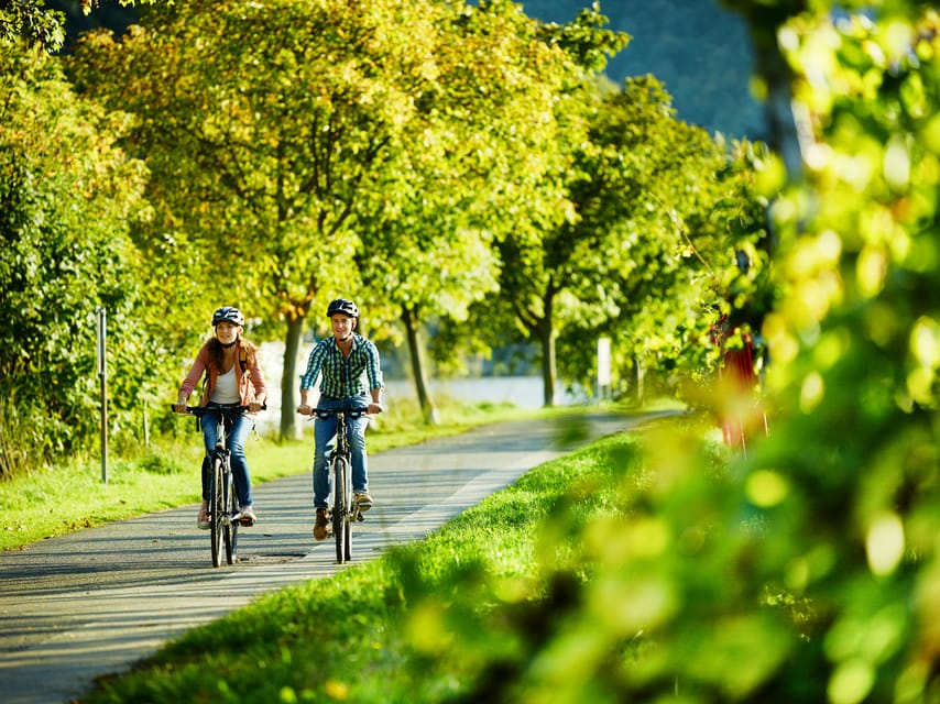 Cochem: Bike and Boat Tour with Picnic and Wine Tasting - A picnic beside the Moselle