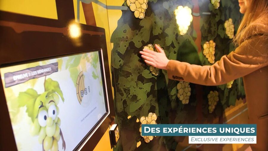 Colmar: Alsace Wine Museum Entrance Ticket - Digital displays and game-style learning