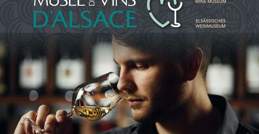 Colmar: Alsace Wine Museum Entrance Ticket - From vineyard work to harvest