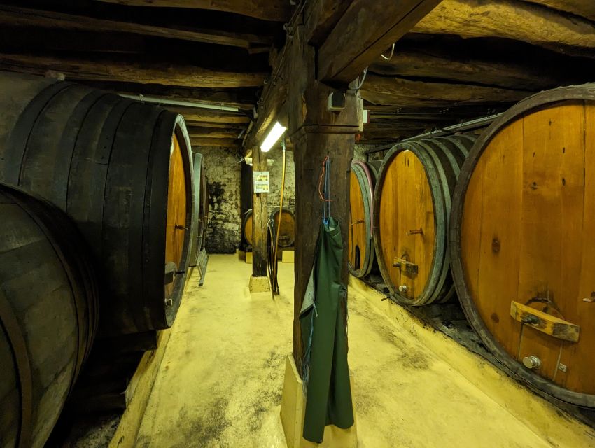 Colmar: Highlights Walking Tour and Wine Tasting - The value of a local guide in a compact town