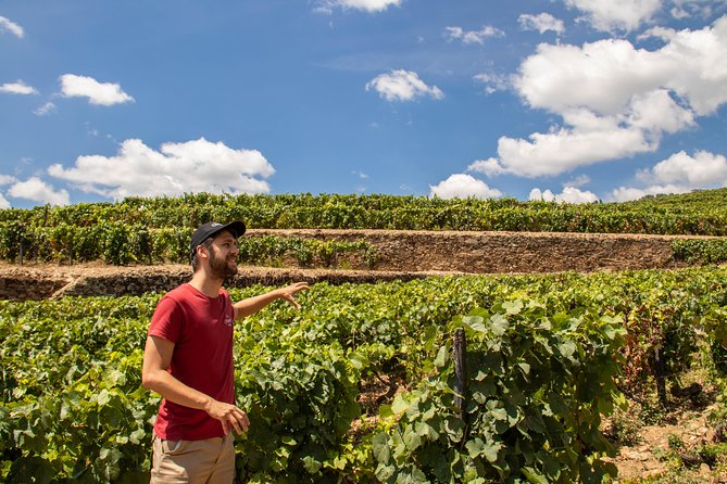 Complete Douro Valley Wine Tour with Lunch, Wine Tastings and River Cruise - Key points at a glance