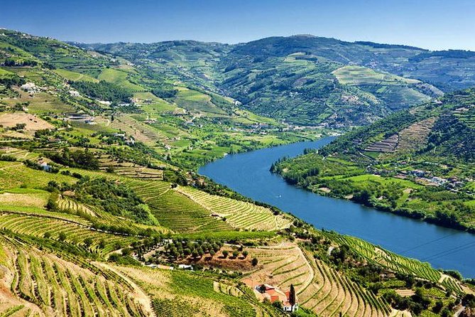 Complete Douro Valley Wine Tour with Lunch, Wine Tastings and River Cruise - A viewpoint above São Cristóvão do Douro