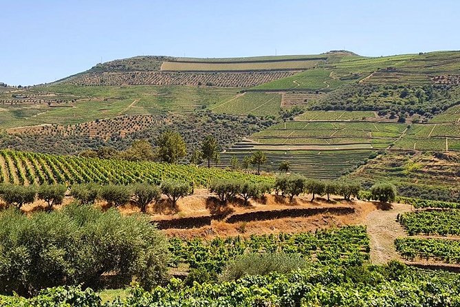 Complete Douro Valley Wine Tour with Lunch, Wine Tastings and River Cruise - Pinhão and the traditional Rebelo boat