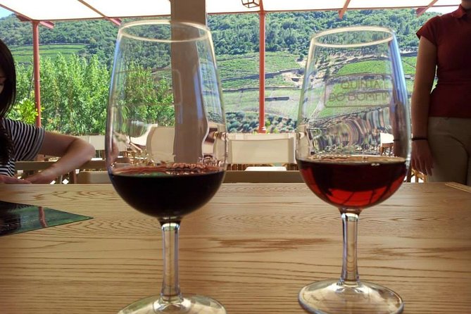 Complete Douro Valley Wine Tour with Lunch, Wine Tastings and River Cruise - The second estate in Folgosa