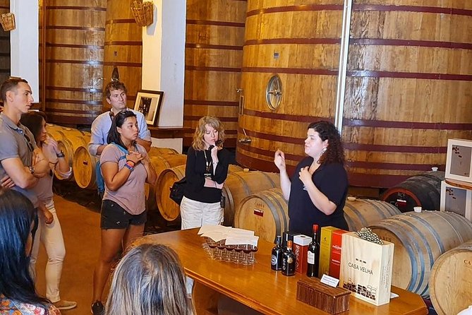 Complete Douro Valley Wine Tour with Lunch, Wine Tastings and River Cruise - Is $101.76 a fair price?