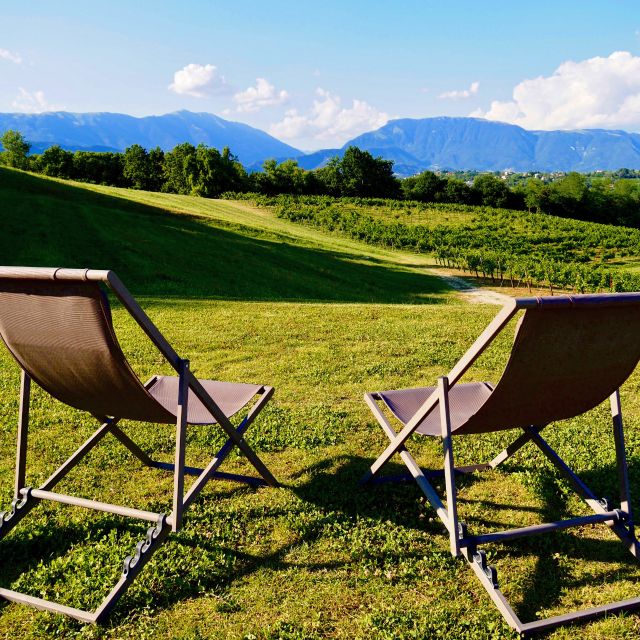 Conegliano: Prosecco Hills and Vineyards tour - The guide makes the difference