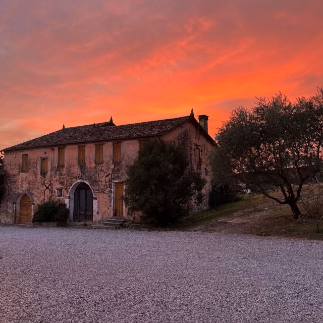 Conegliano: Prosecco Hills and Vineyards tour - What the $34 price buys you