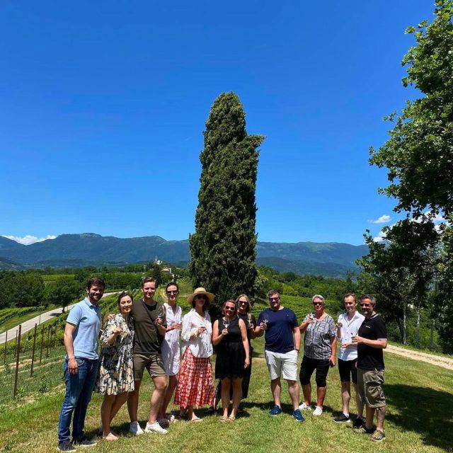 Conegliano: Prosecco Hills and Vineyards tour - Who will enjoy this 90-minute visit