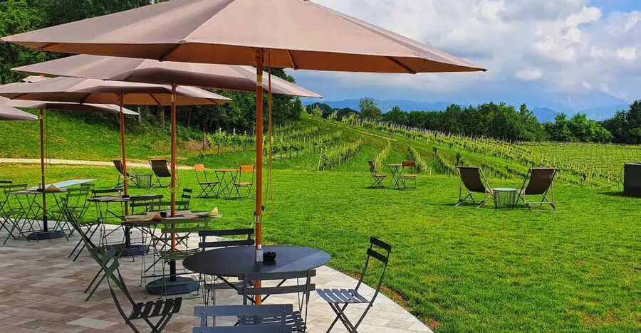 Conegliano: Prosecco Hills and Vineyards tour - Three wines, not just one quick sip