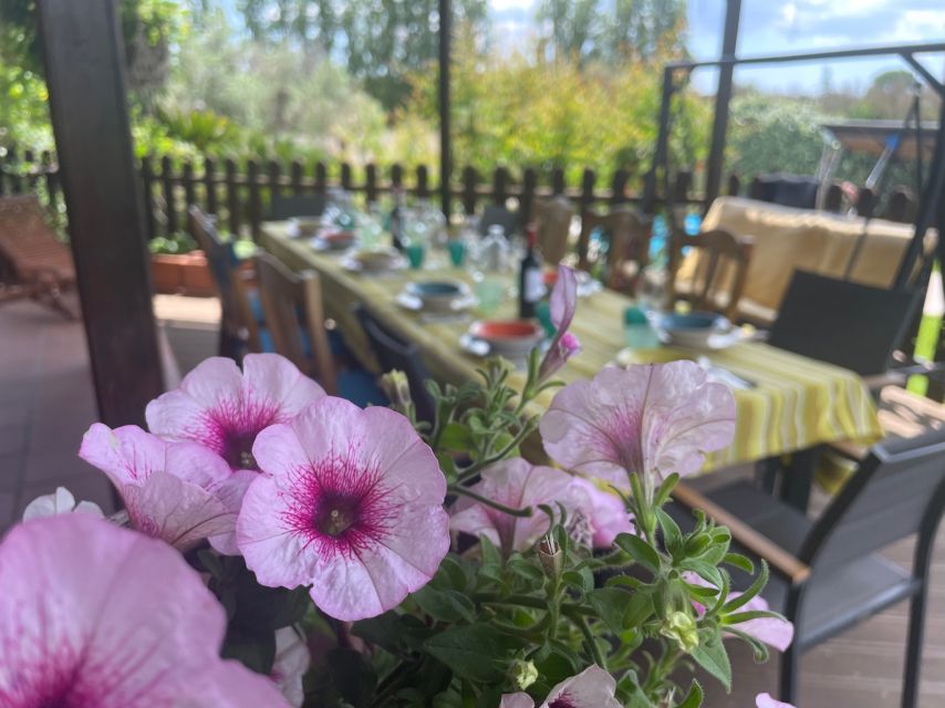 Cooking class, dinner and wine tasting in Lecce (Corigliano) - Who should book this experience