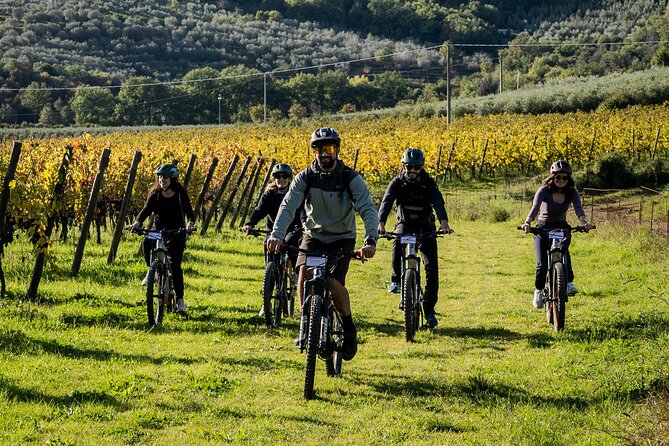 Cortona - eBike tour and wine tasting in the Val di Chiana [+40€] - The winery lunch and tasting for €40