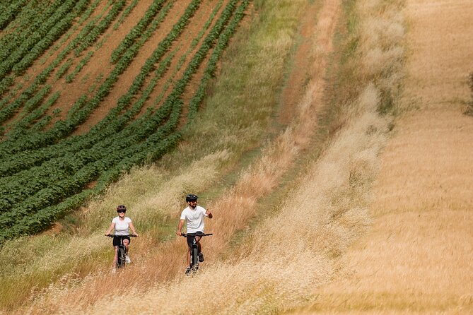 Cortona - eBike tour and wine tasting in the Val di Chiana [+40€] - Group size, timing, and the minimum departure