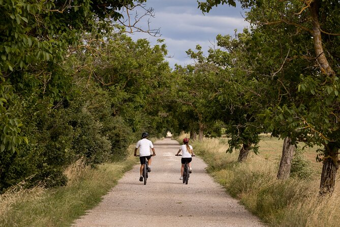 Cortona - eBike tour and wine tasting in the Val di Chiana [+40€] - Families, older riders, and first-time eBike users