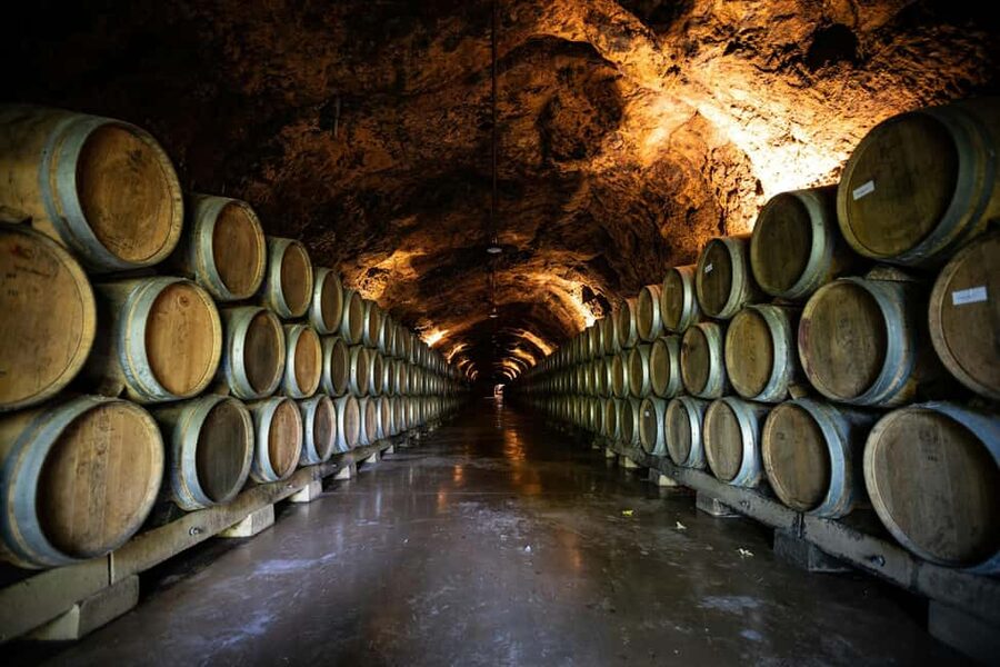 Côte de Beaune Half-Day Wine Tour from Dijon - Reading Burgundy through the vineyards
