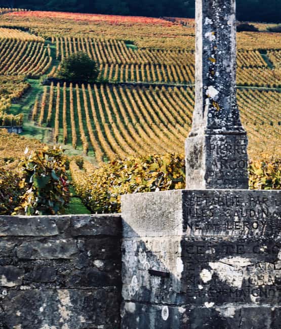 Côte de Nuits: Excursion in the heart of the vineyards - Why the Côte de Nuits needs a guided introduction