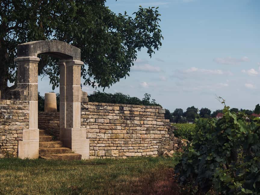 Côte de Nuits: Excursion in the heart of the vineyards - Seeing the famous vineyard names from the road