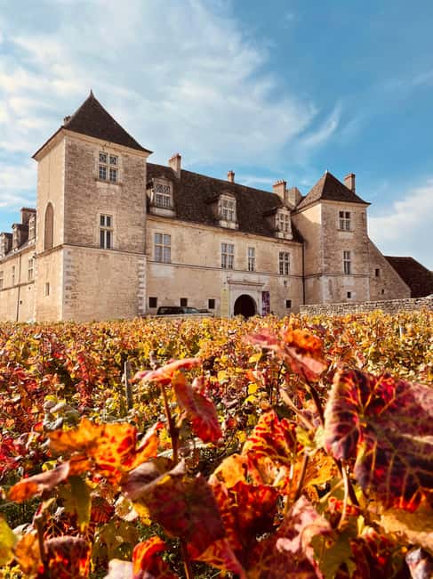 Côte de Nuits: Excursion in the heart of the vineyards - Timing, language, and booking flexibility