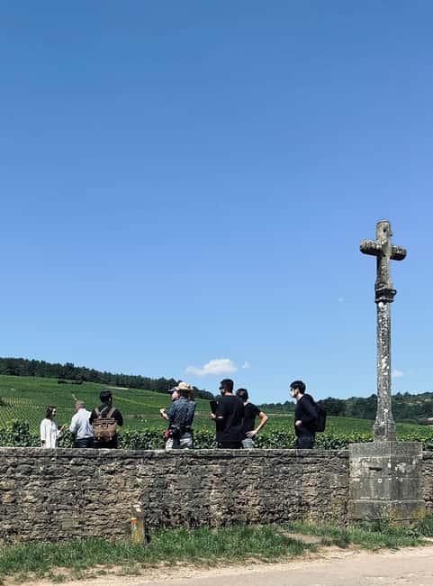 Côte de Nuits: Excursion in the heart of the vineyards - Starting at Beaune Tourist Office