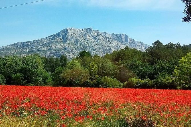 Cotes de Provence Wine Tour from Aix-en-Provence - Mont Sainte-Victoire and the Cézanne connection
