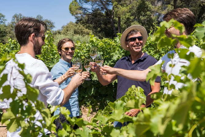 Cotes de Provence Wine Tour from Aix-en-Provence - Final call: a strong half-day introduction