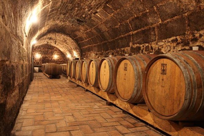 Countryside Half-day Gastro-Wine Tour from Budapest Meal & pickup - Key points to know before you book