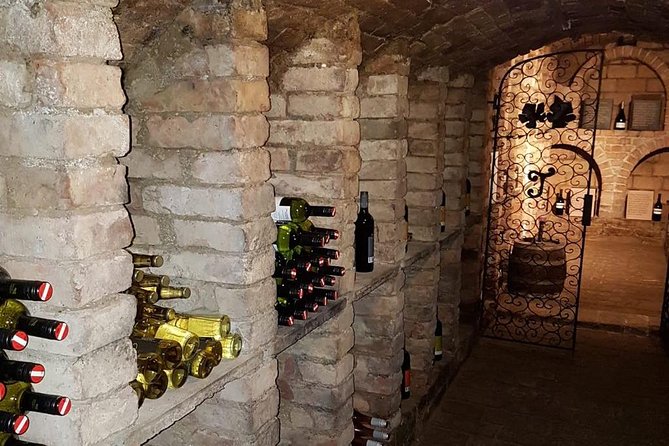 Countryside Half Day Wine Tour near Vienna - The first winery: local wine and a personal welcome