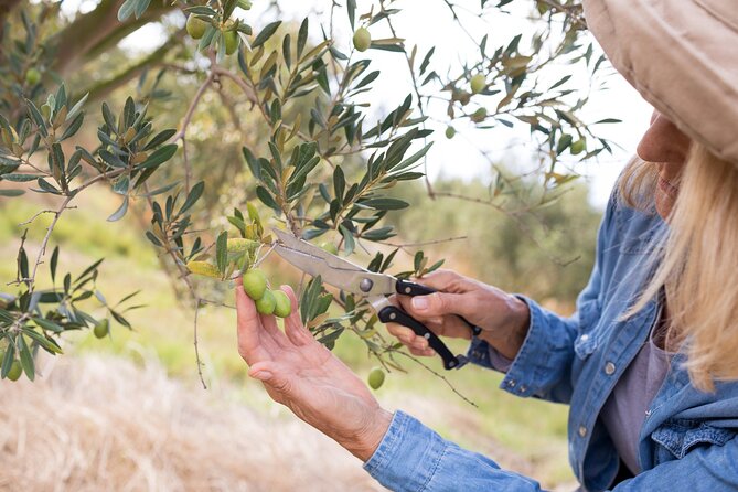 Cretan Wines & Olive oil tour - The treasures of Crete - Pottery in Thrapsano, when the workshop is open