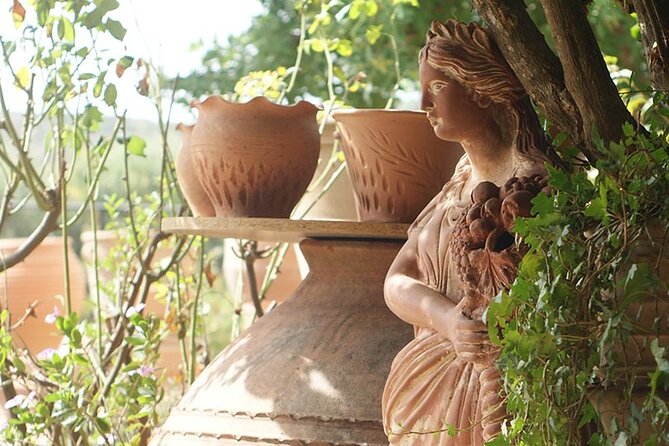 Cretan Wines & Olive oil tour - The treasures of Crete - The small group changes the feel