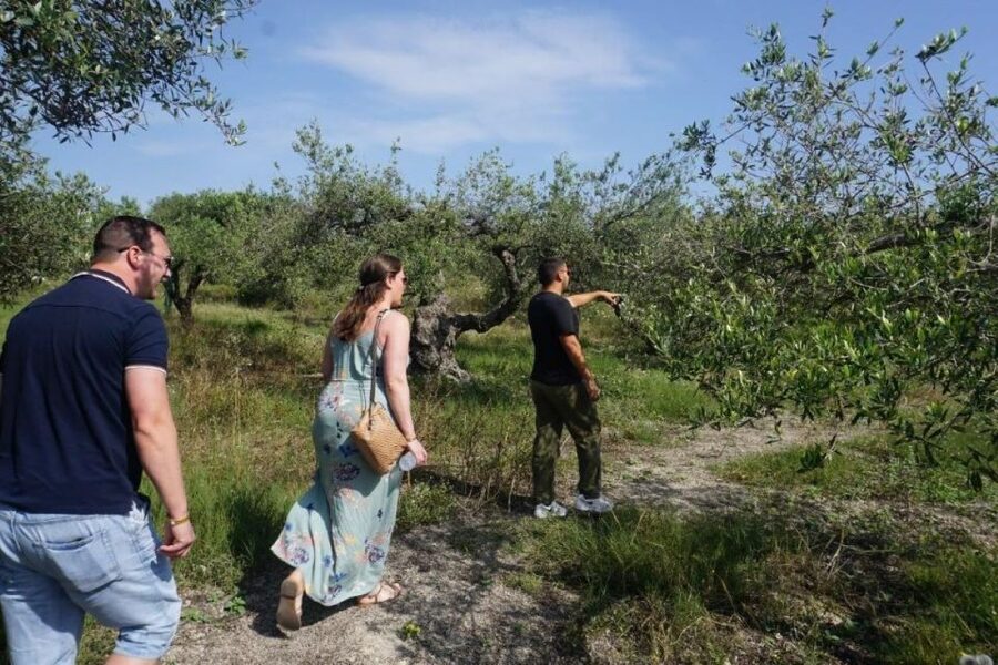 Crete: Full-Day Cretan Wines, Olive Oil, Raki and Food Tour - Thrapsano pottery adds a creative finish