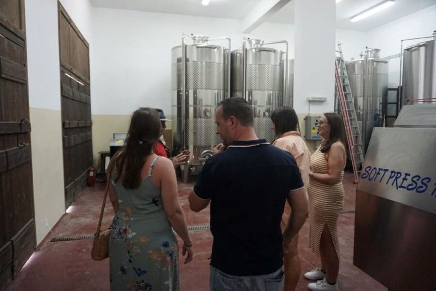 Crete: Full-Day Cretan Wines, Olive Oil, Raki and Food Tour - Transport, timing and group size