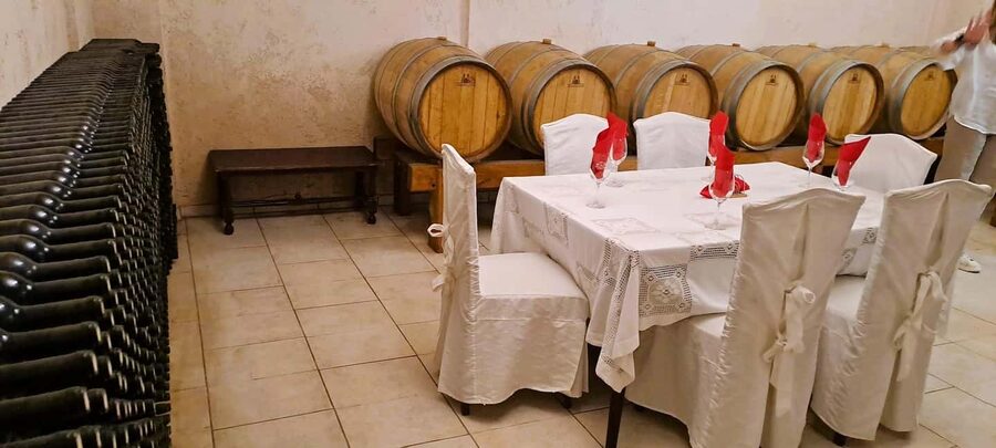 Crete: Knossos Palace, Winery & Olive Oil Tour with Lunch - Why this six-hour tour works