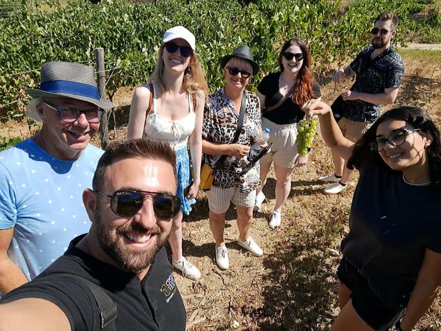 Crete: Knossos Palace, Winery & Olive Oil Tour with Lunch - A traditional village lunch with wine and raki