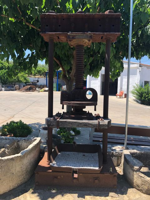 Crete Private Tour: The Secrets of Wine, Olives & Honey - Apithano Honey Factory and Cretan bees