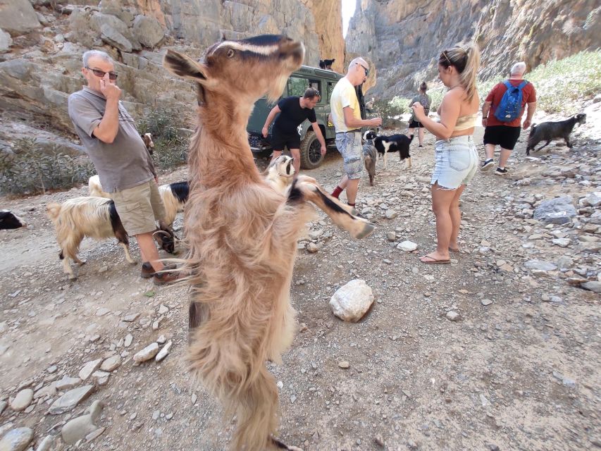 Crete: Trypiti Beach Off-Road South Tour w/ Lunch & Wine - Trypiti Beach rewards the bumpy approach