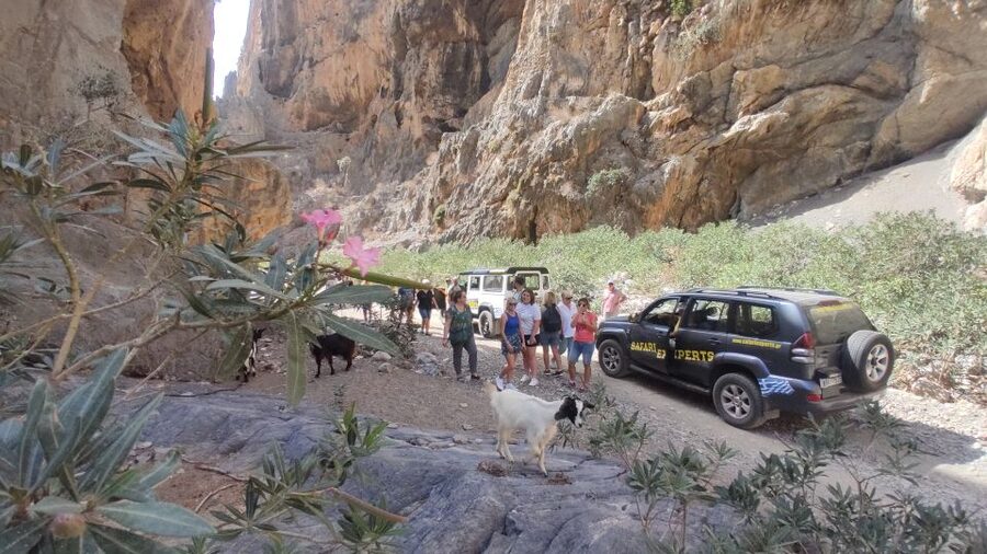 Crete: Trypiti Beach Off-Road South Tour w/ Lunch & Wine - Coffee in Agia Varvara closes the loop