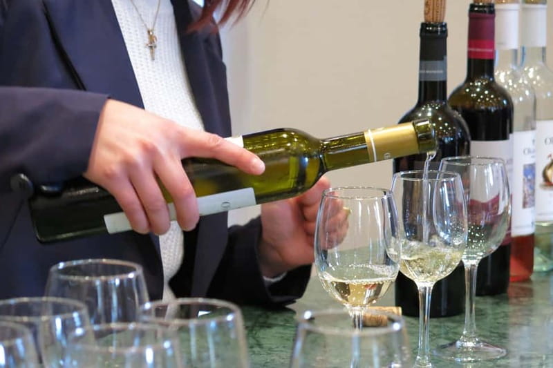 Cyprus: Troodos Mountains Villages and Wineries Tour - Who should book this experience