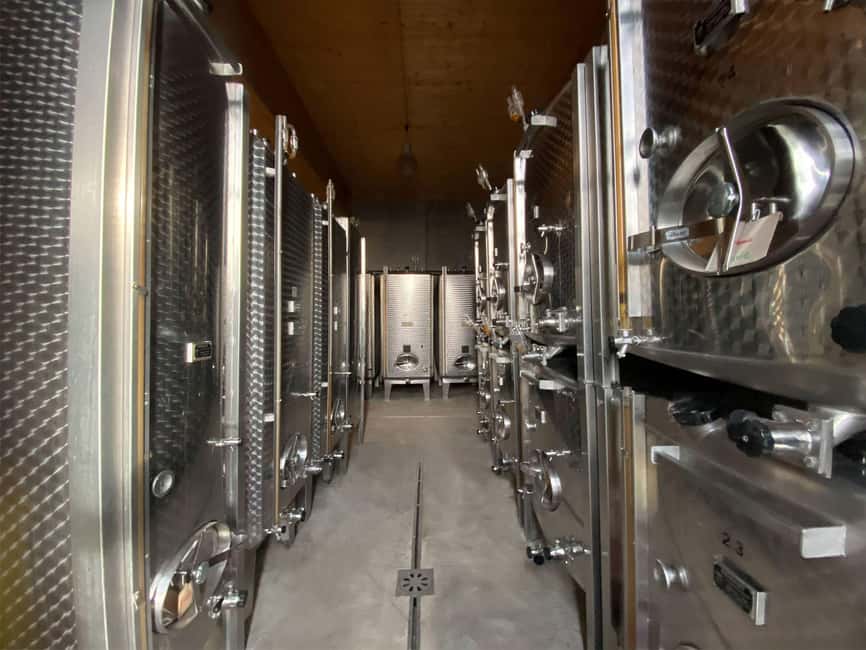 Dare to Alsace Wine with a Feminine Touch - Key points to know before you book