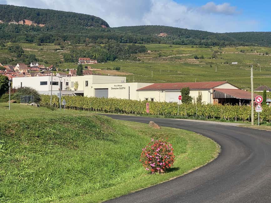 Dare to Alsace Wine with a Feminine Touch - Who will enjoy this wine visit most?