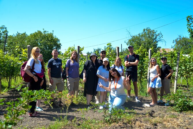 Day Trip to Kakheti Wine Region Including 9 Wine Tastings - The family winery and Georgia’s qvevri tradition