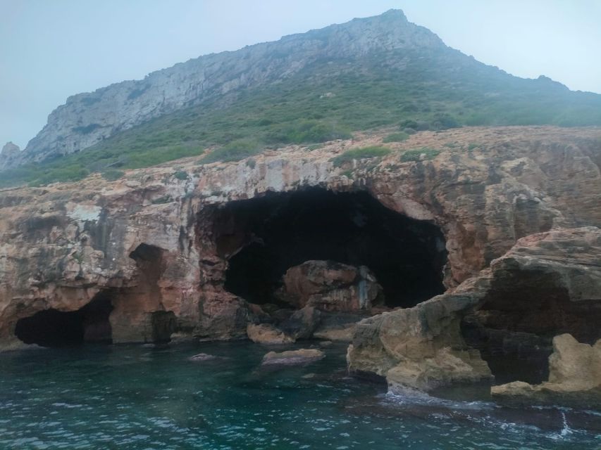 Denia: Cova tallada Catamaran Trip w/ Mussel Tasting & Wine - Practical advice for a better ride