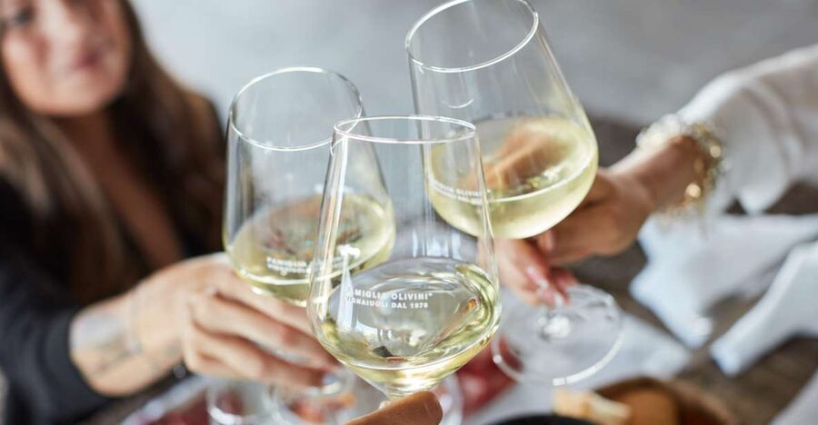Desenzano: Lugana Wine-Tasting and Vineyard Tour - Why Lugana is worth a stop near Lake Garda