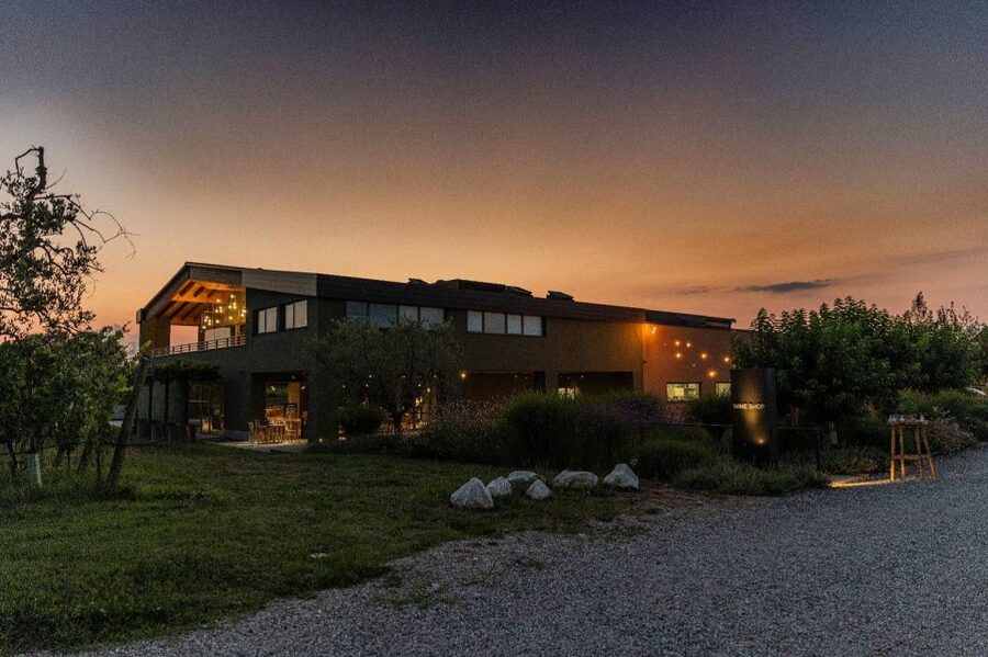 Desenzano: Lugana Wine-Tasting and Vineyard Tour - Inside the sparkling and barrel cellars