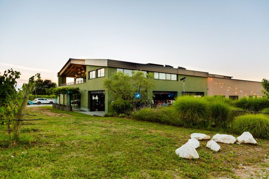 Desenzano: Lugana Wine-Tasting and Vineyard Tour - Four wines, four different regional styles