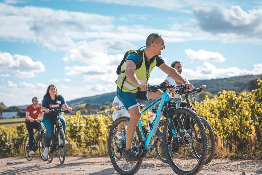 Dijon: Bike tour and Tastings in the Vineyards of Burgundy - Why this Burgundy bike tour works